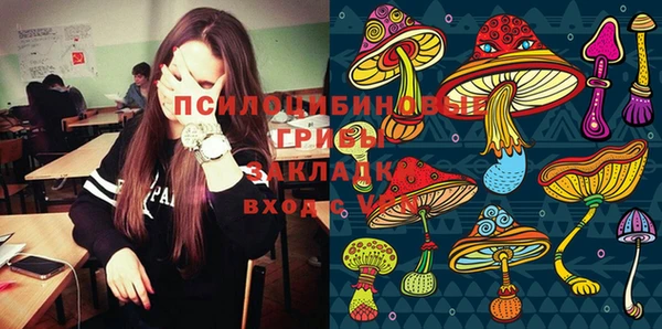гашик Зеленодольск