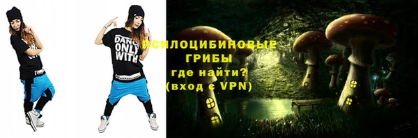 гашик Зеленодольск