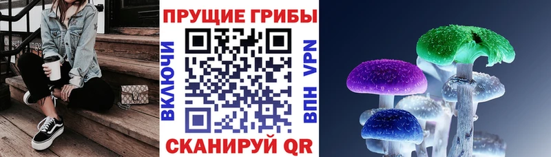 где продают наркотики  Благовещенск  Псилоцибиновые грибы мухоморы 