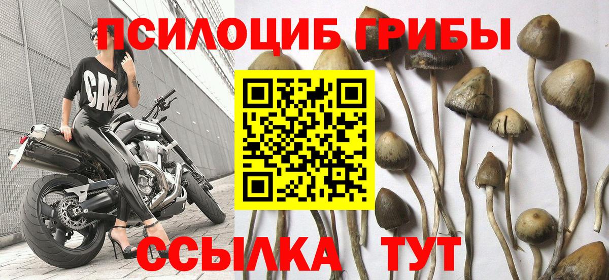 Галлюциногенные грибы мицелий  Вход с VPN  Благовещенск 