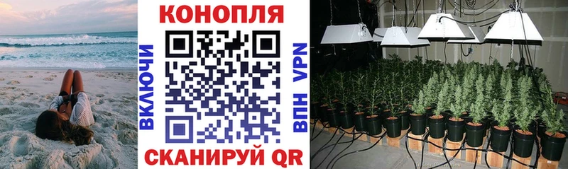Канабис Bruce Banner  Благовещенск 